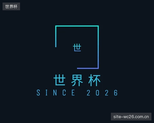 发现世界杯公司